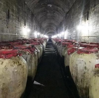 文藝精品謳歌時代 遵義市紅花崗區(qū)作家協(xié)會以酒業(yè)進出口為筆